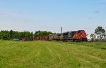 8100 leads CN 562 at Petit-Metis